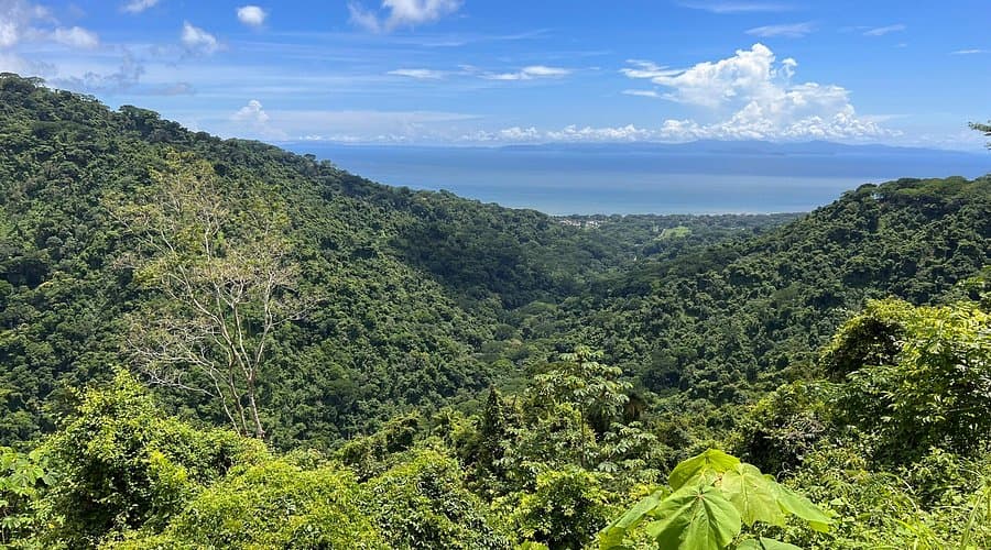 Reserva Biológica Carara en Puntarenas: un encuentro natural con guacamayas y cocodrilos